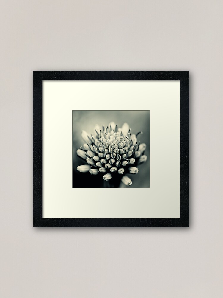Alternate view of Aleo Vera flower Framed Art Print