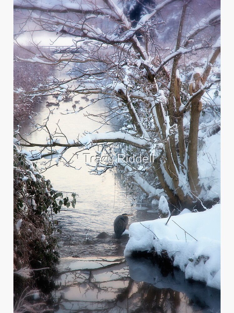 Heron Winter Scene by taos