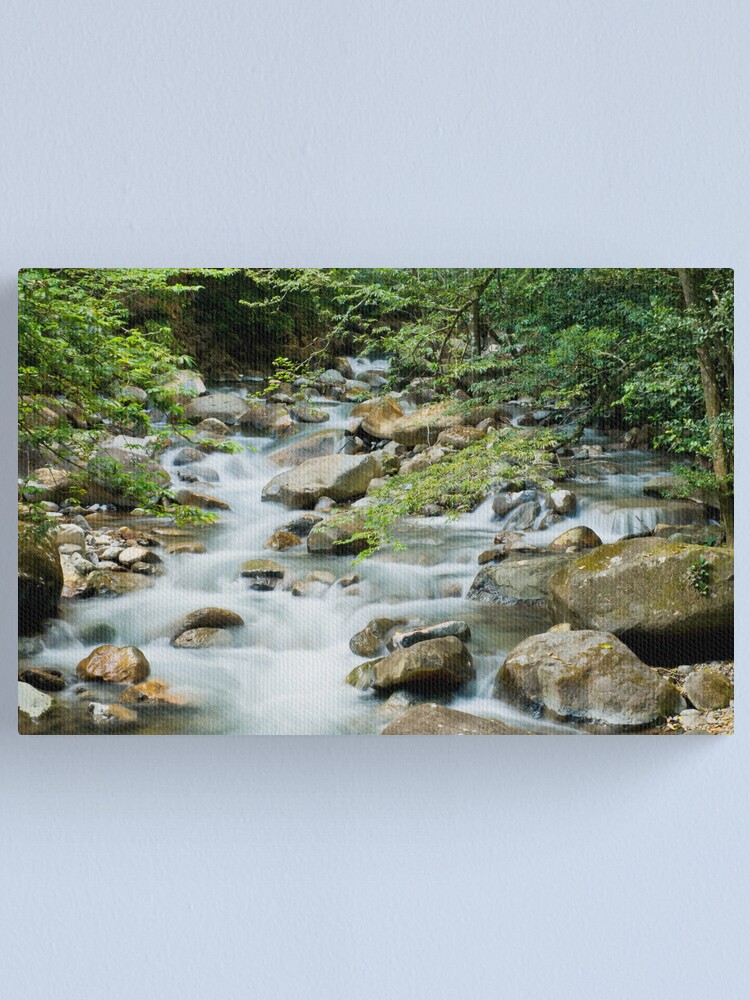 Alternate view of River in Ricon de la Vieja Canvas Print