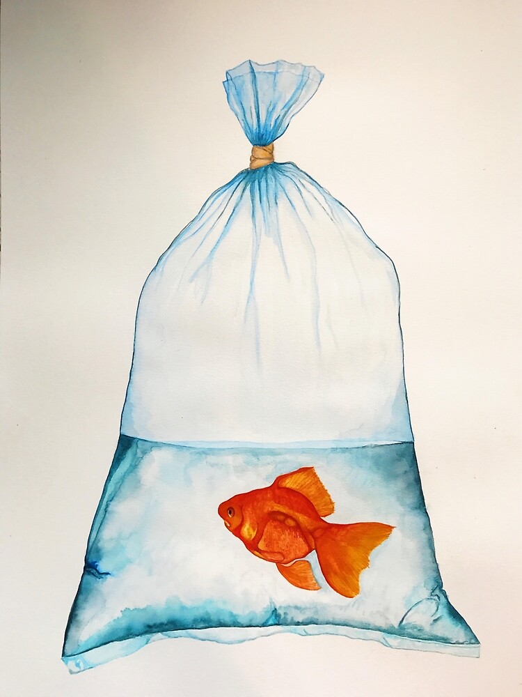 Goldfish in a Bag | Poster