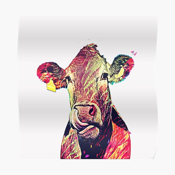 funny cute female cow Poster