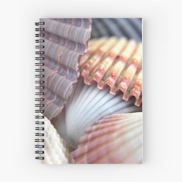 Item preview, Sea Shells II designed and sold by Kathie Nichols.