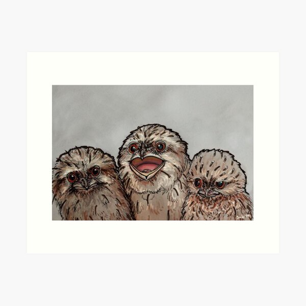 Frogmouth Chicks Art Print