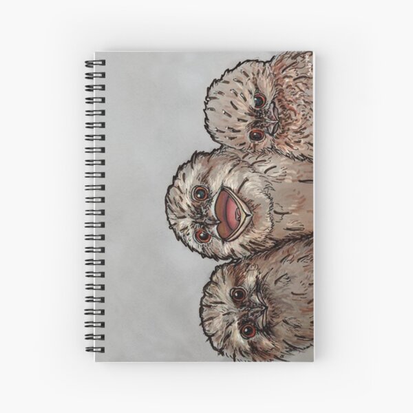Frogmouth Chicks Spiral Notebook