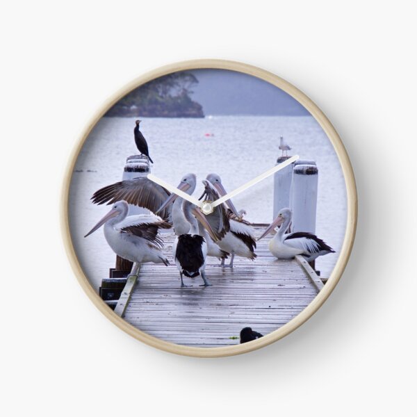 MARINE BIRD ~ Australian Pelican WEUFE9FJ by David Irwin Clock