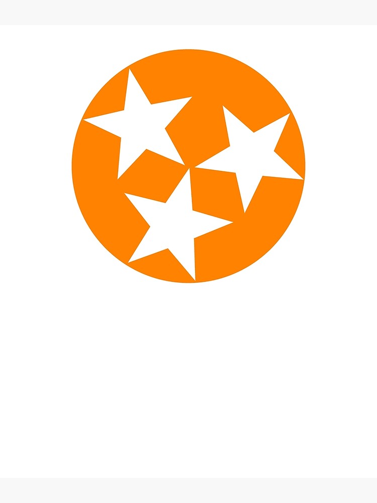Tennessee Tri-Star Logo (Orange and White) by Homegrown