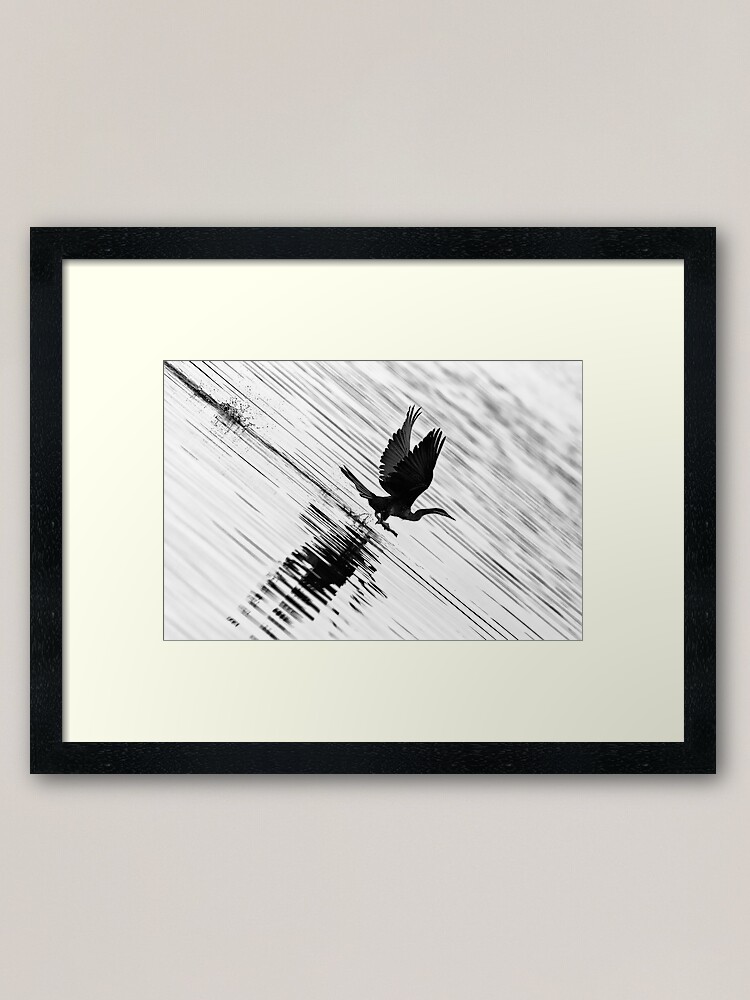 Alternate view of Flying shag Framed Art Print