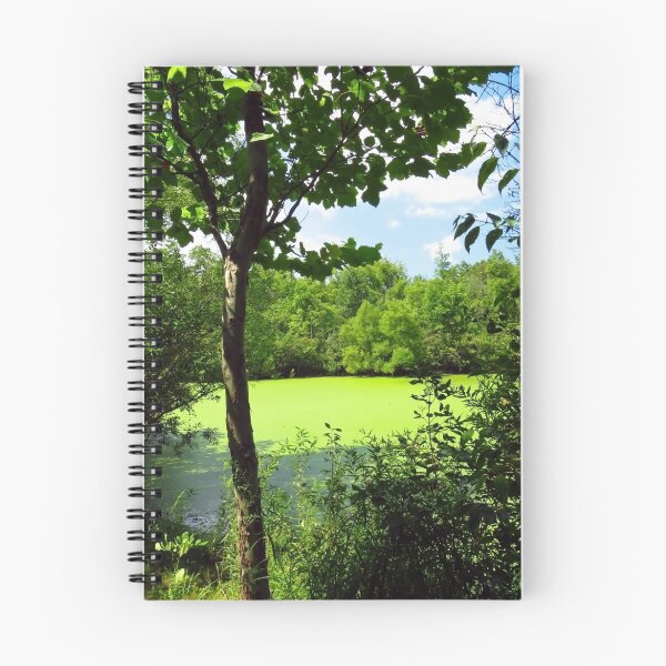 Item preview, Sheldon Marsh Algae Pond designed and sold by dahlymama.