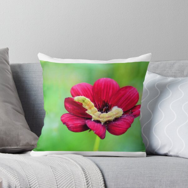 Item preview, Un nuevo hogar brillante designed and sold by Anna Se.
