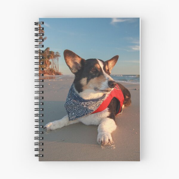 Item preview, Lifeguard on Duty designed and sold by WorldDesign.