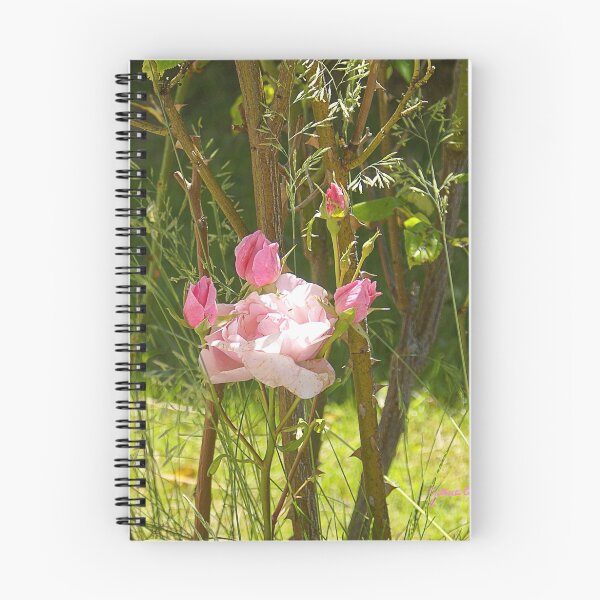 Item preview, No roses without thorns designed and sold by Gilberte.