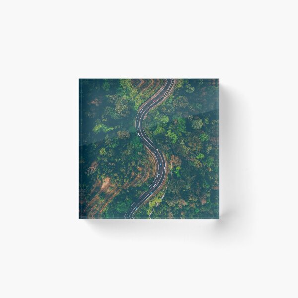 Item preview, Curvy road in dark green forest designed and sold by DelightfulArts.