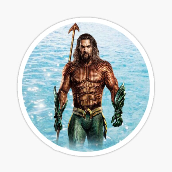 Jason Momoa Stickers | Redbubble