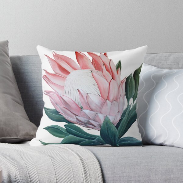 Protea pillows hotsell