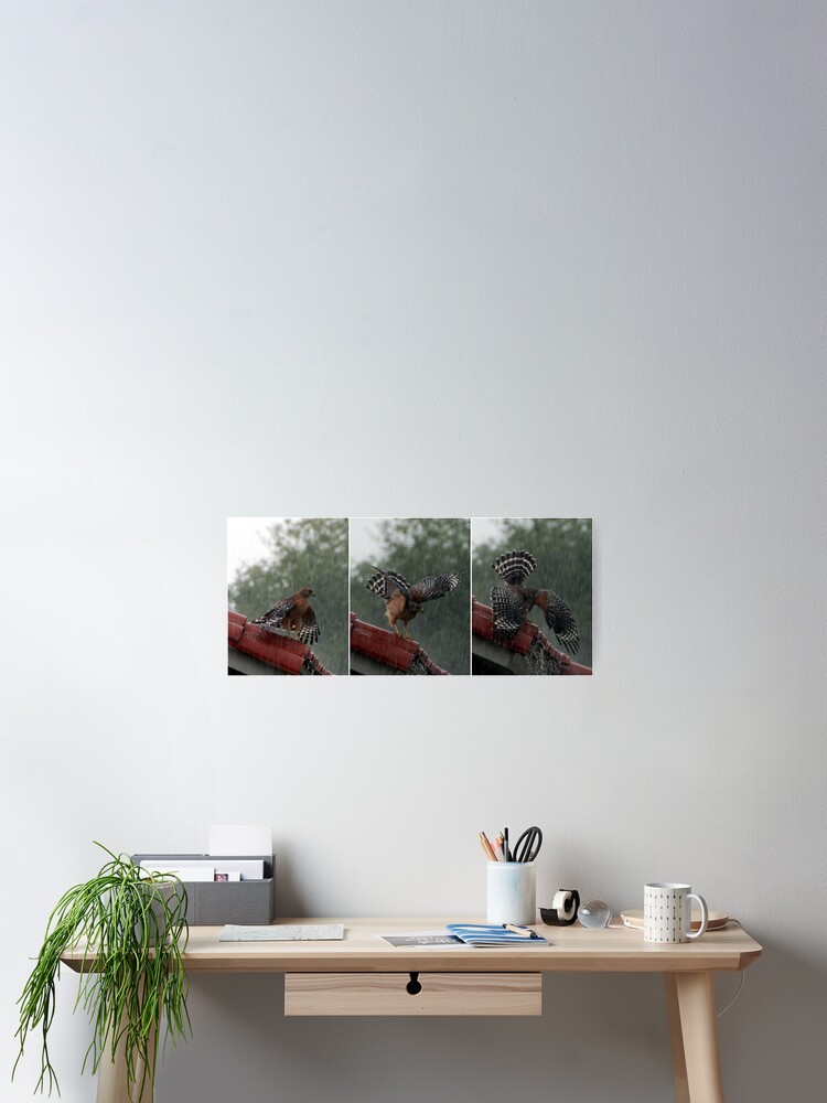 Thumbnail 2 of 3, Poster, Rain designed and sold by mlane.