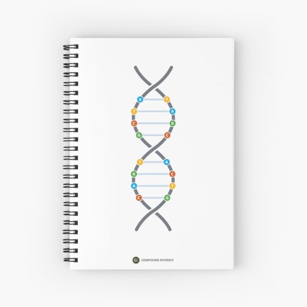 The Chemical Structure of DNA Spiral Notebook