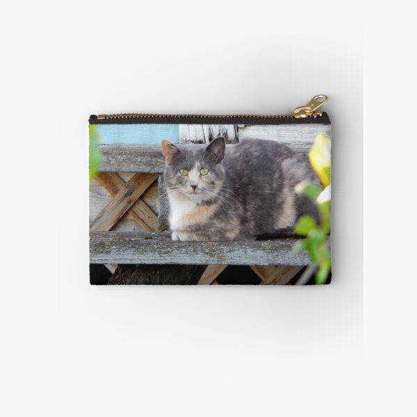 Item preview, A Contented Winnipeg Beach Resident designed and sold by kenspics.