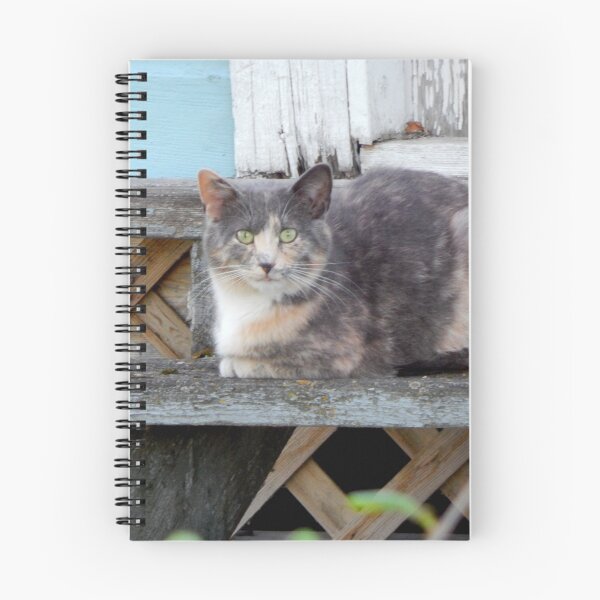 Item preview, A Contented Winnipeg Beach Resident designed and sold by kenspics.
