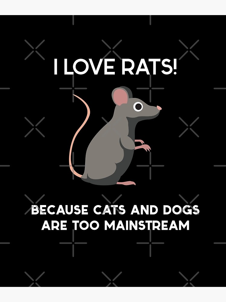 LOVE RAT（RED Ver.) I love quasar ❤️❤️ : r/RATS