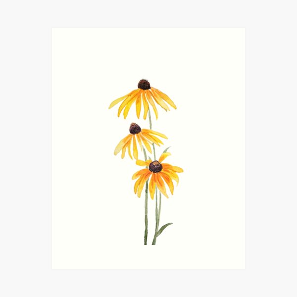 Item preview, hand painted 3 yellow black eyed Susan gloriosa daises watercolor designed and sold by ColorandColor.