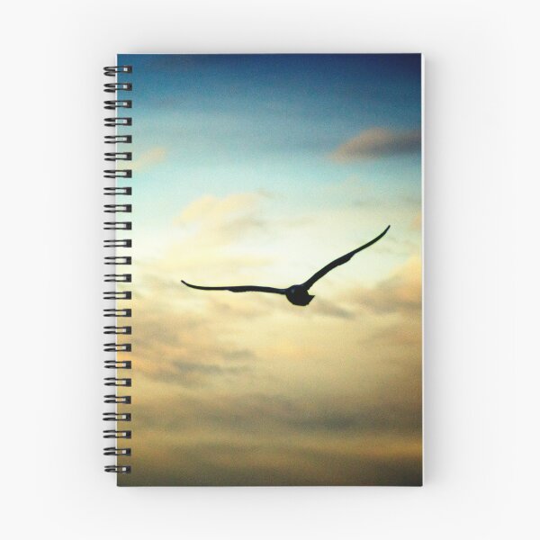 Item preview, Soarcerer designed and sold by JoeGeraci.