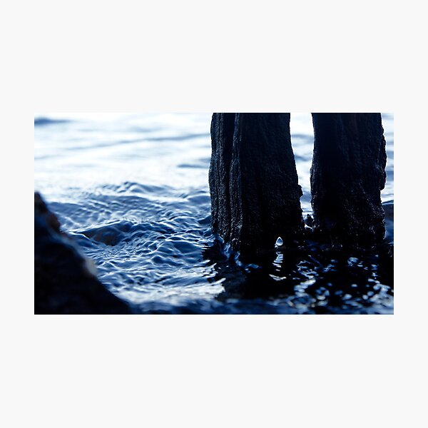 gateway Photographic Print