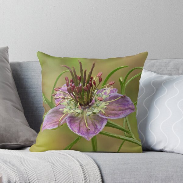 Item preview, Nigella hispanica designed and sold by bcscrambler.