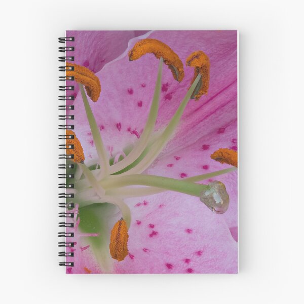 Item preview, Stargazer Lily designed and sold by bcscrambler.