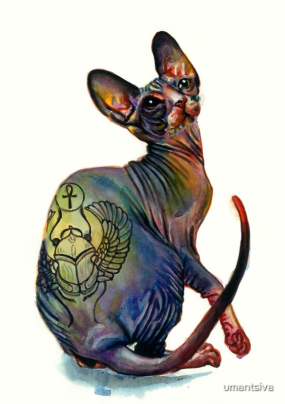 "Tattooed sphynx cat" by umantsiva Redbubble