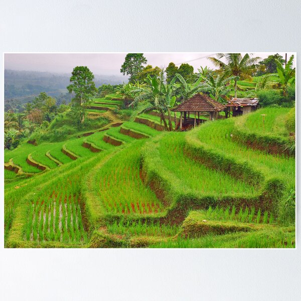 Item preview, Green rice terraces designed and sold by Adri  Padmos.