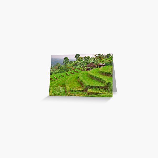 Green rice terraces Greeting Card
