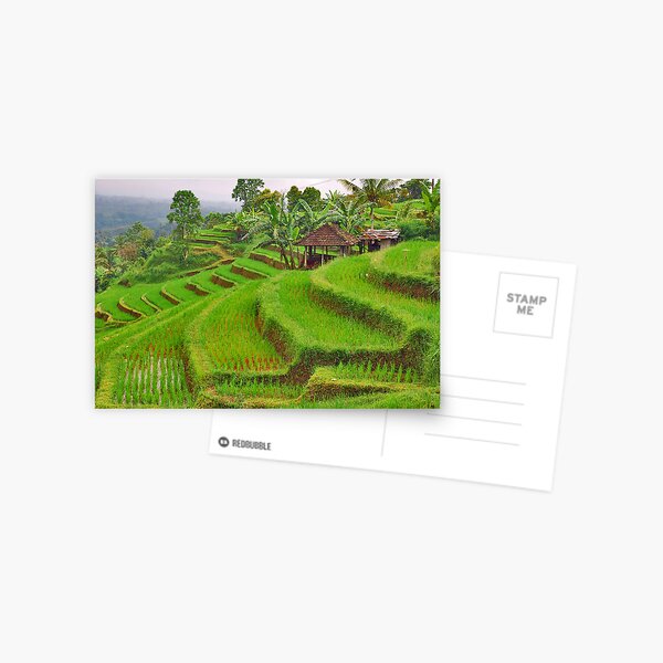 Item preview, Green rice terraces designed and sold by Adri  Padmos.