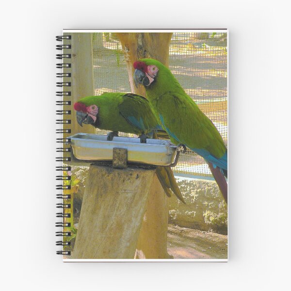Item preview, En el Zoo....... designed and sold by cieloverde.