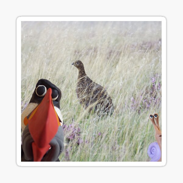 SnailandPuffin and grouse Sticker
