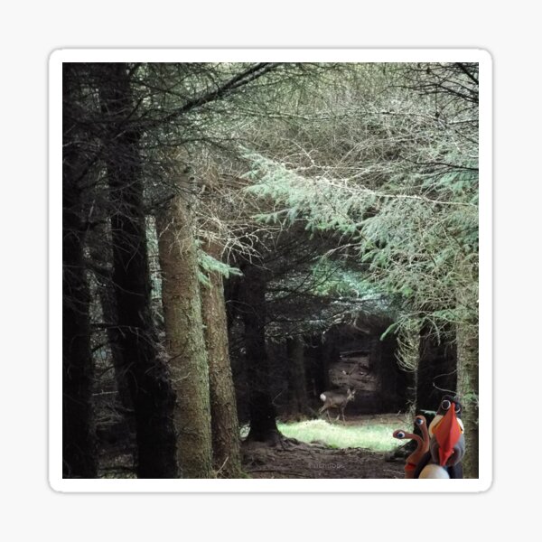 SnailandPuffin and deer in the forest Sticker