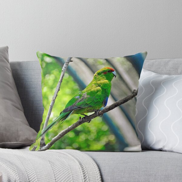 Item preview, Loro........ designed and sold by cieloverde.