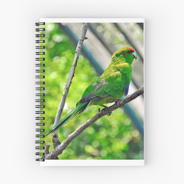 Item preview, Loro........ designed and sold by cieloverde.
