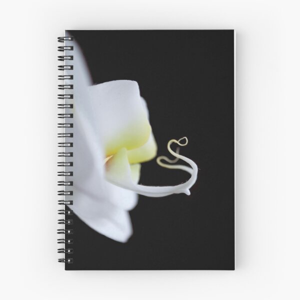 Item preview, Abstract White Phalaeonopsis Orchid designed and sold by Julia Haptonstahl.