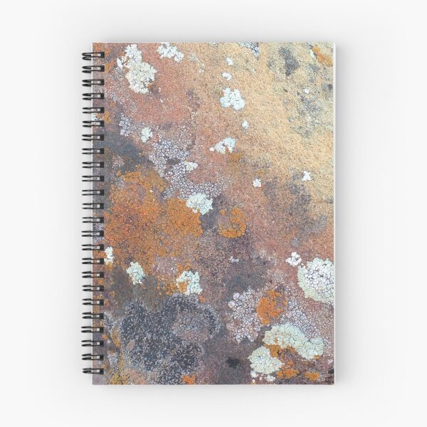 Item preview, sandstone with lichen designed and sold by Kiluvi.