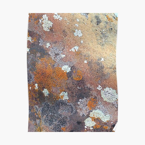 sandstone with lichen Poster