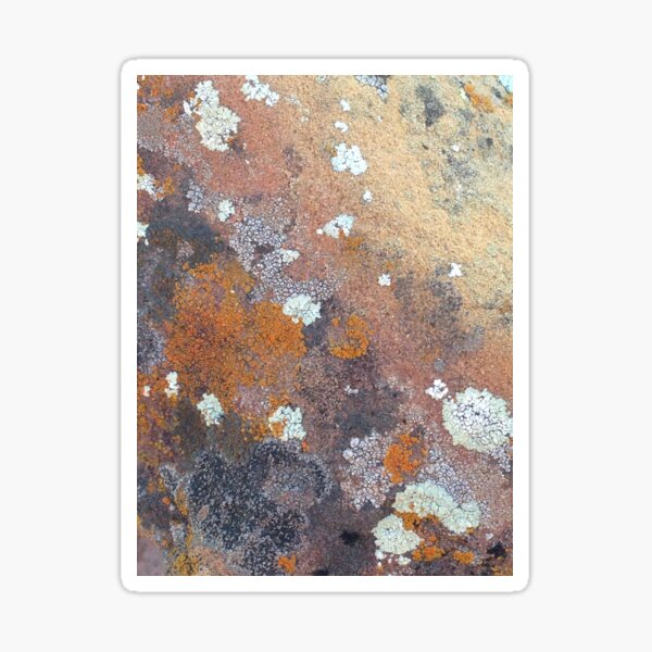 Item preview, sandstone with lichen designed and sold by Kiluvi.