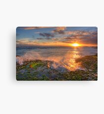 Ocean Rays Canvas Print