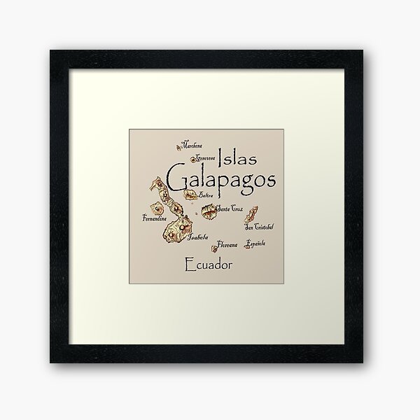 Item preview, Map of the Galapagos Islands designed and sold by leeloolook.