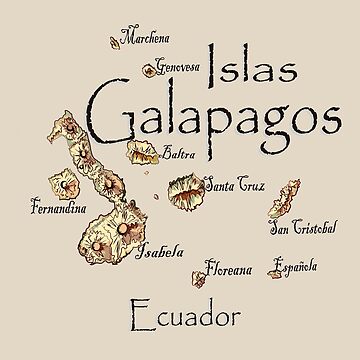 Artwork thumbnail, Map of the Galapagos Islands by leeloolook