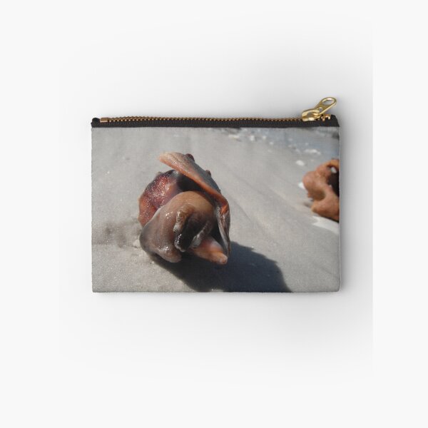 Item preview, Shy Snail designed and sold by Adam  D..