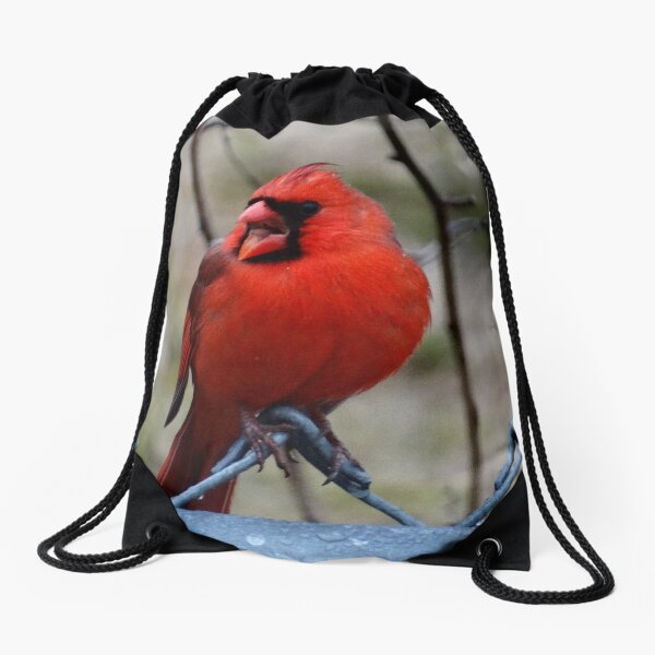 Mr. Red Northern Cardinal Drawstring Bag