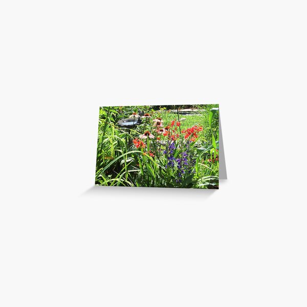 Summer Butterfly and Hummingbird Garden Greeting Card