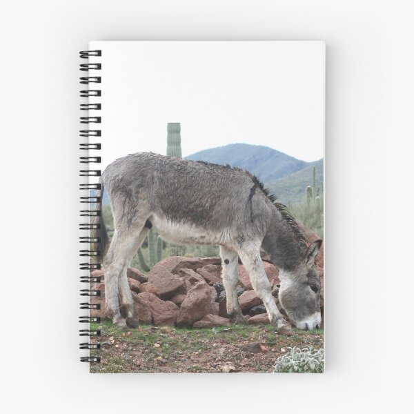 Item preview, Burro designed and sold by Speckle.