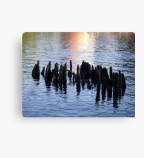 Old Pilings Along the Rondout Canvas Print