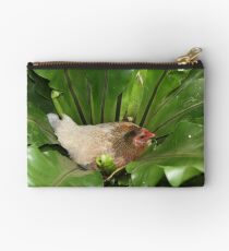 Bantam chook nesting in fern Studio Pouch